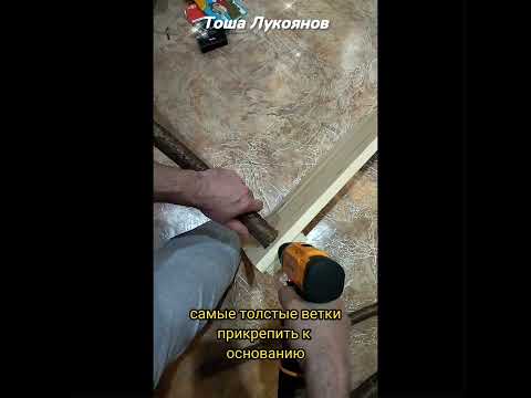Волнистый попугайчик. Игровой стенд для волнистого попугайчика своими руками.