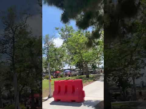 Admirando esta belleza. #soul #love #sandiego #energiapositiva #neartothebeach #beautifull