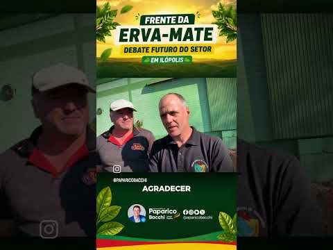 Frente da Erva-mate debate futuro do setor