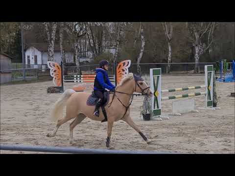 Malu (12) und Dancer - Springtraining beim Landestrainer am 16.04.2021