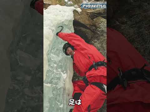 キョウチクトウを霜から守る方法は？冬を乗り切るための 4 つの簡単なアクション  庭園