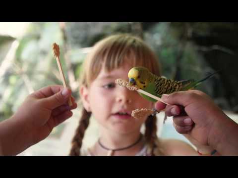 RTV Vorarlberg Magazin KW 26