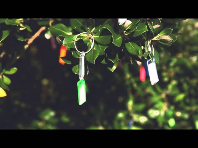 Video teaser for Lifesystems Intensity Glow Markers