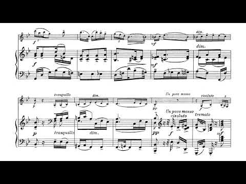 Student Concerto No.10 in D Major Op.50 By Friedrich Seitz (with Score)
