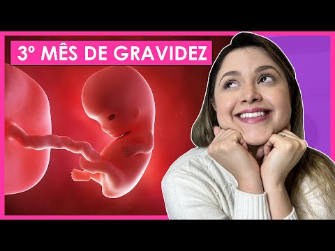 3 MONTHS PREGNANT | WEEKS 10, 11, 12 AND 13