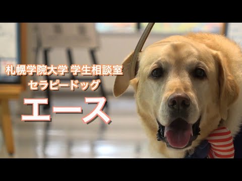 経済学科 札幌学院大学 学生相談室 セラピードッグ エース Vol.6