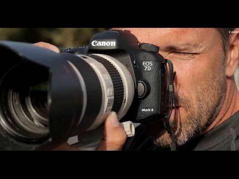 Canon EOS 7D Mark II DSLR - first test