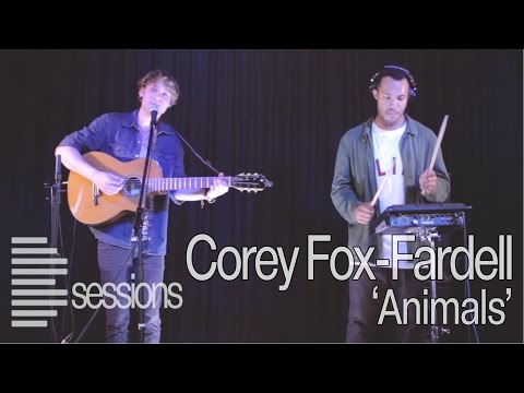 Corey Fox Fardell - 'Animals': Brighton - Live Music Session (Bsession)