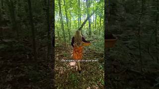 Forests at risk! Public comments close September 21st. Make your comment link in my bio. @NRDCflix