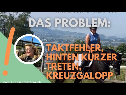 Taktfehler, Kreuzgalopp etc. | nicht nur eine Lappalie für das Pferd