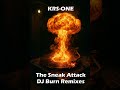 KRS-One - Krush Them (DJ Burn Remix)