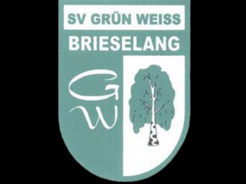 3. Spieltag der 2000'er - gegen die U17 vom SV Grün-Weiss Brieselang (Nachholspiel)
