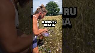 Download lagu Thought it was a waste of time, but the result is mind-blowing mp3