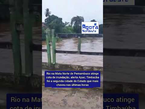 Rio na Mata Norte de Pernambuco atinge cota de inundação