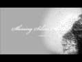 Ashram | Shining Silver Skies 