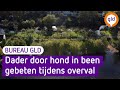 Hij wilde geld en een mobieltje maar de hond vond van niet | Bureau GLD
