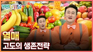 [별별실험실] 고도의 생존전략, 열매의 무기! / YTN 사이언스