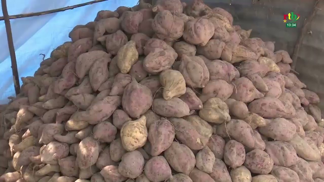 Tiébélé a vibré au rythme de la 23e édition de la patate douce