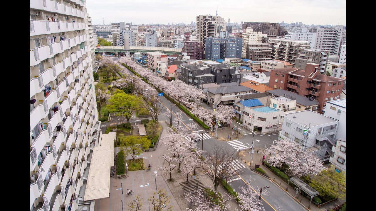 Live webcam view of Adachi Cityscape Panorama with Skytree