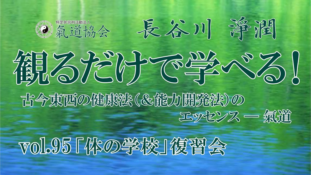 観るだけで学べる！ 古今東西の健康法（＆能力開発法）のエッセンス────氣道 vol.95