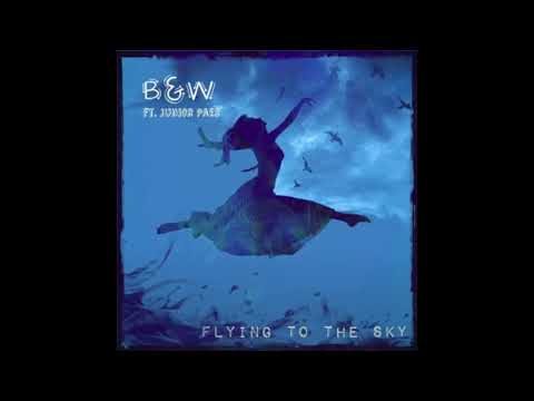 B & W feat. Junior Paes - Flying To The Sky (DJ-V. Remix)