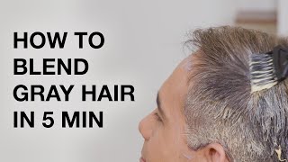How to Blend Gray Hair in 5 Minutes | Gray Hair Color Tutorial | Kenra Color