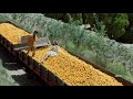 Ennake Ennaka Whatsapp Status Video Tamil Jeans