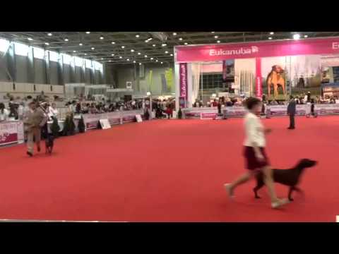 WDS 2013 best group VI