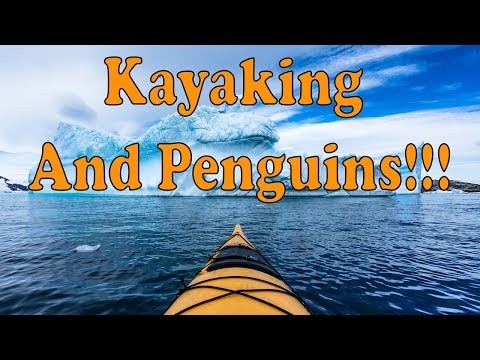 Sea Kayaking in Antarctica – The Ultimate Guide for 2026