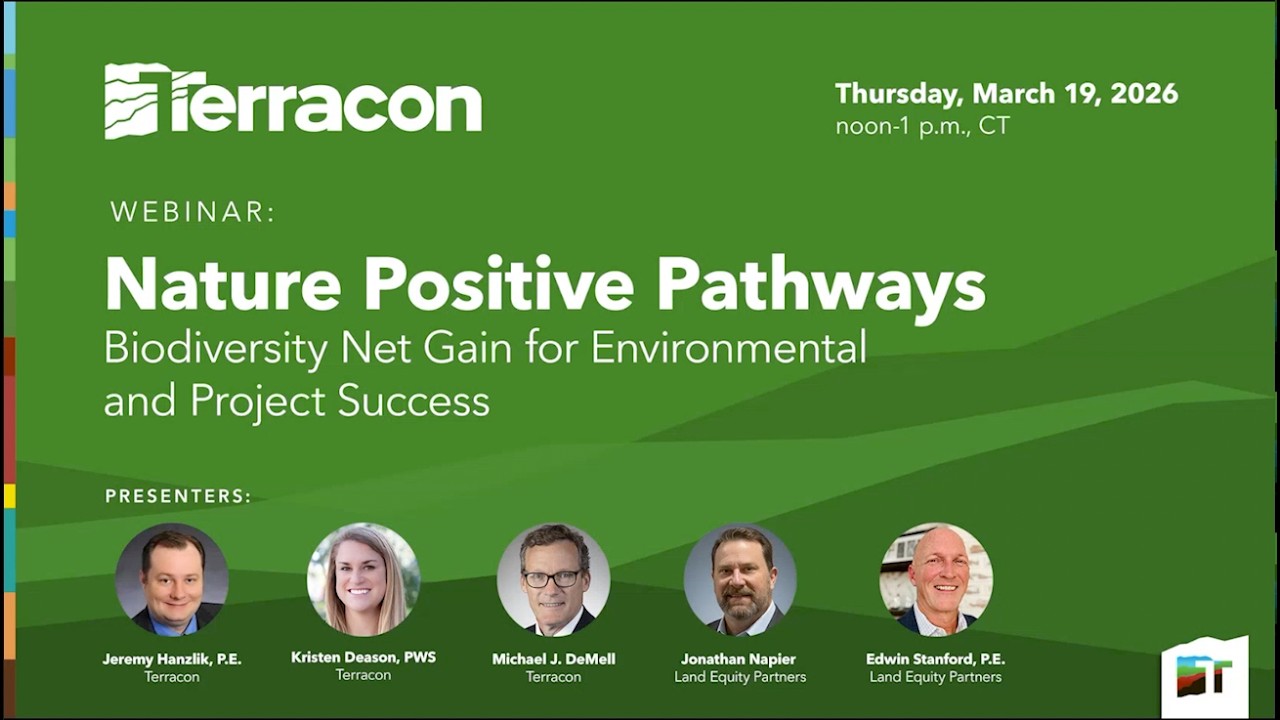 Nature Positive Pathways: Biodiversity Net Gain for Environmental adn Project Success