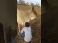 BIN MAA KE BACHE