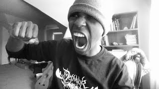 Omnium Gatherum - Skyline (Vocal Cover)