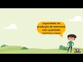 Animação Wmv