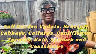 Fall Garden Update: Broccoli, Cabbage, Collards, Cauliflower, Turnips, Kale, Spinach and Cantaloupe!