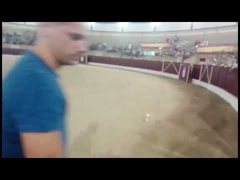 Concurso de recortadores de Borox: Mejores momentos