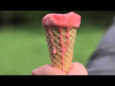 DieMiezen Warten – Eis