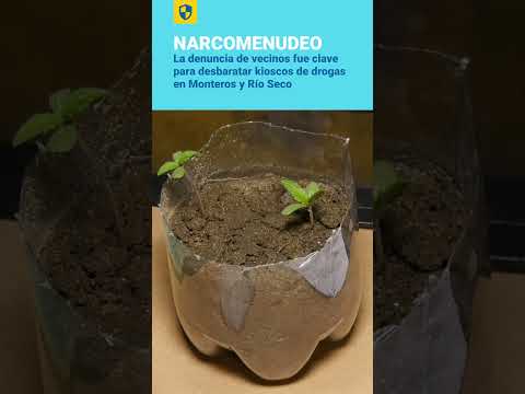 La denuncia de vecinos fue clave para desbaratar kioscos de drogas en Monteros y Río Seco