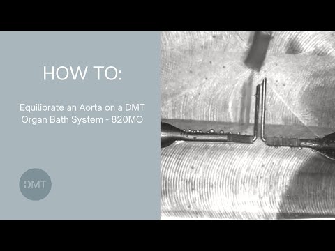 Equilibrate an aorta on a DMT 820MO Organ Bath System