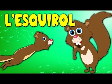 Plim plim L'esquirol | Cançons Infantils en Català