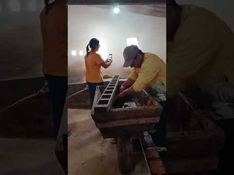 fui conhecer de perto o engenho de Pedro Caetano,sitio bom jesus paraíba.