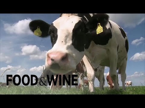 Kobe Beef and Wagyu Beef: What's the Difference? |...