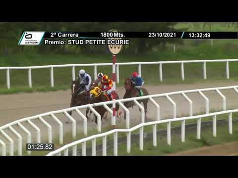 211023 c02 - REI DA FLORIDA (BRZ) - HIPODROMO LAS PIEDRAS