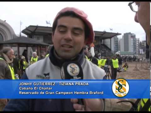 JONHY GUTIERREZ Y TIZIANA PRADA - Cabaña El Chañar - Reservado de Gran Campeon Hembra Braford