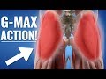 2 Ways Your Glute Muscles Work - Gluteus Maximus ACTION!
