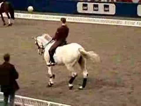 Andreas Helgstrand & Blue Hors Matiné