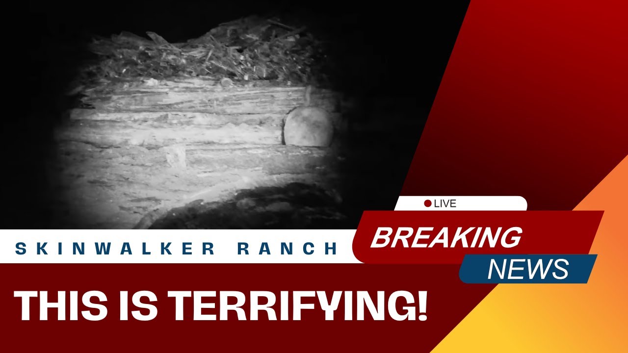 YouTube Thumbnail Downloader FULL HQ IMAGE