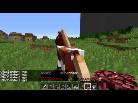 New Dawn Season 8 - Episode 2 - Horse