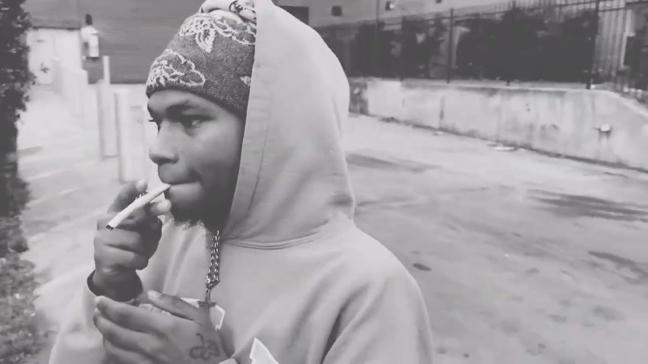 Picasso Dior - Beg Your Pardon (Snippet Video)