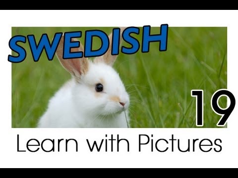 Learn Swedish Vocabulary with Pictures - Farm Animals