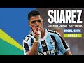 Luis Suarez Scores Hat-Trick On Gremio Debut: Must-See Highlights and Goals!